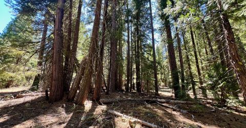 1701 Knobcone Trail, Johnsville, CA 96103 Photo