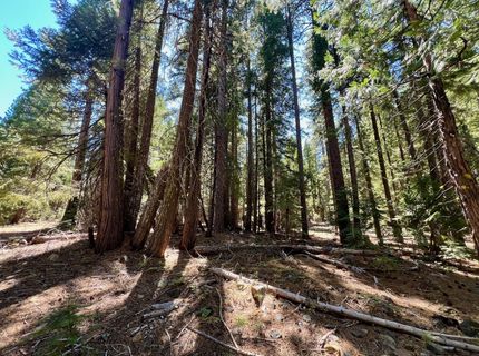 1701 Knobcone Trail, Johnsville, CA 96103 Photo