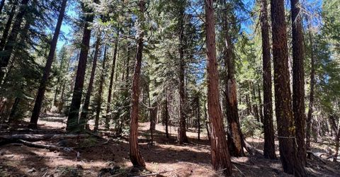 1701 Knobcone Trail, Johnsville, CA 96103 Photo