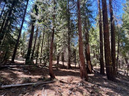1701 Knobcone Trail, Johnsville, CA 96103 Photo