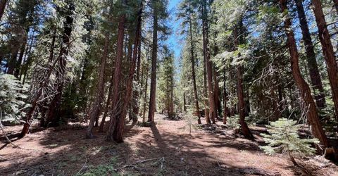 1701 Knobcone Trail, Johnsville, CA 96103 Photo