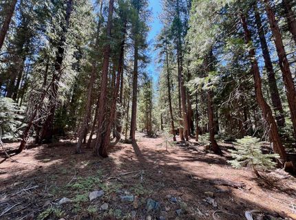 1701 Knobcone Trail, Johnsville, CA 96103 Photo