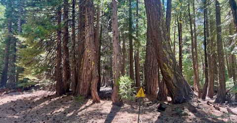 1701 Knobcone Trail, Johnsville, CA 96103 Photo