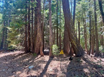 1701 Knobcone Trail, Johnsville, CA 96103 Photo