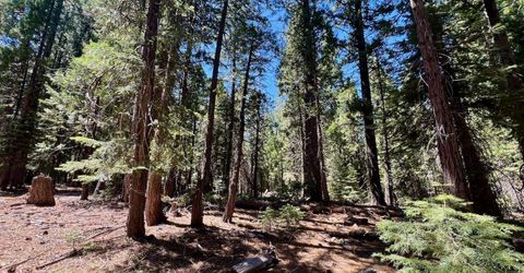 1701 Knobcone Trail, Johnsville, CA 96103 Photo