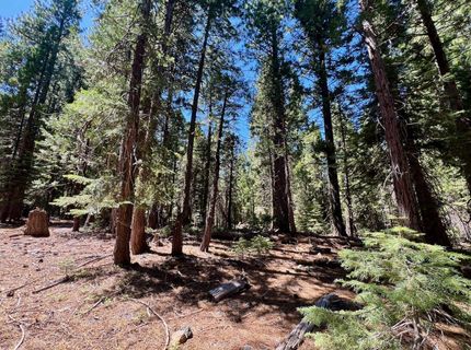 1701 Knobcone Trail, Johnsville, CA 96103 Photo