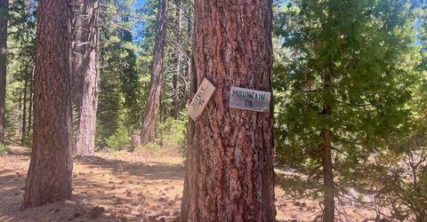 1701 Knobcone Trail, Johnsville, CA 96103 Photo