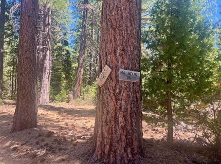 1701 Knobcone Trail, Johnsville, CA 96103 Photo