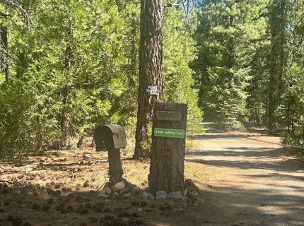 1701 Knobcone Trail, Johnsville, CA 96103 Photo