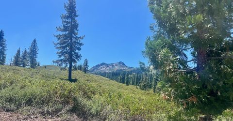 1701 Knobcone Trail, Johnsville, CA 96103 Photo