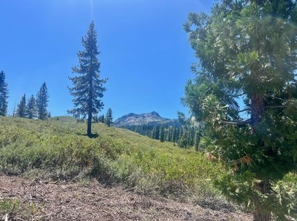 1701 Knobcone Trail, Johnsville, CA 96103 Photo