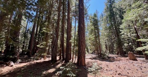 1701 Knobcone Trail, Johnsville, CA 96103 Photo