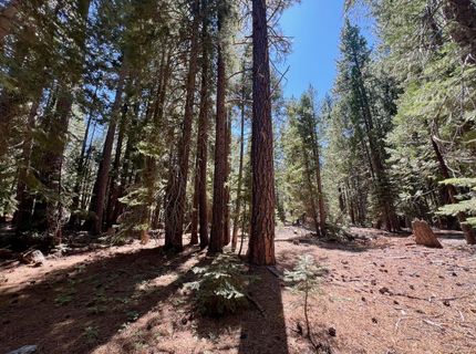 1701 Knobcone Trail, Johnsville, CA 96103 Photo