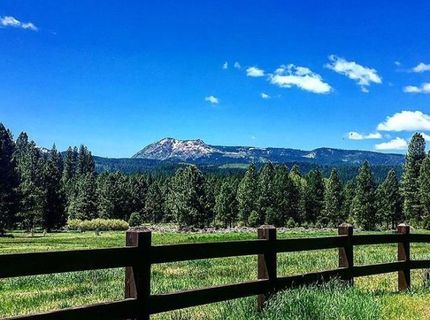 1701 Knobcone Trail, Johnsville, CA 96103 Photo