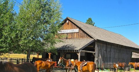 1701 Knobcone Trail, Johnsville, CA 96103 Photo