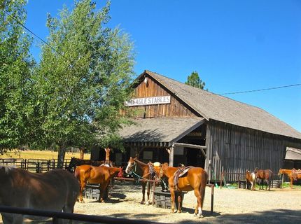 1701 Knobcone Trail, Johnsville, CA 96103 Photo