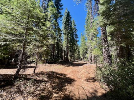 1701 Knobcone Trail, Johnsville, CA 96103 Photo