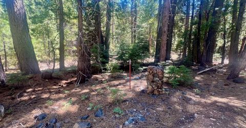 1701 Knobcone Trail, Johnsville, CA 96103 Photo