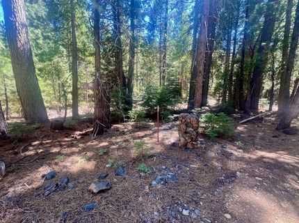 1701 Knobcone Trail, Johnsville, CA 96103 Photo