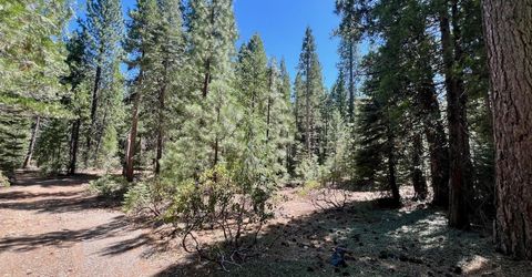 1701 Knobcone Trail, Johnsville, CA 96103 Photo