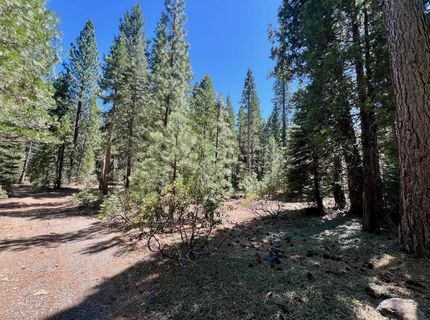 1701 Knobcone Trail, Johnsville, CA 96103 Photo