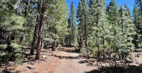 1701 Knobcone Trail, Johnsville, CA 96103 Photo