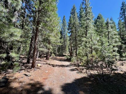 1701 Knobcone Trail, Johnsville, CA 96103 Photo
