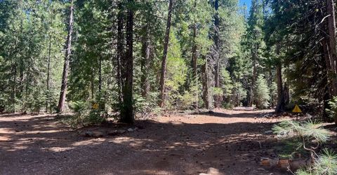 1701 Knobcone Trail, Johnsville, CA 96103 Photo