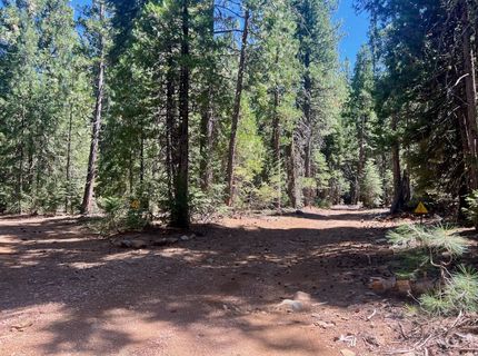 1701 Knobcone Trail, Johnsville, CA 96103 Photo
