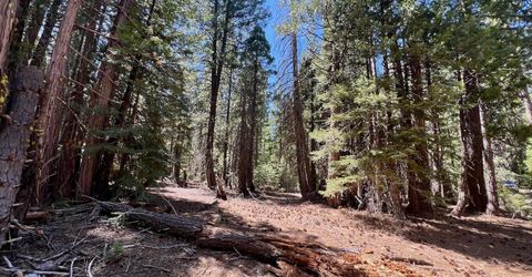 1701 Knobcone Trail, Johnsville, CA 96103 Photo