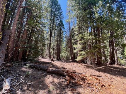 1701 Knobcone Trail, Johnsville, CA 96103 Photo