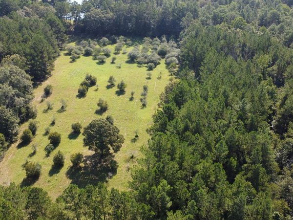 Ben Byrd Road, Lumberton, MS 39455