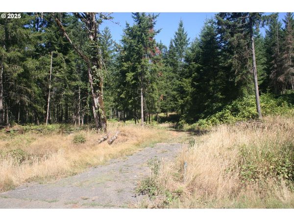 3647 Briar Knob NE LOOP, Scotts Mills, OR 97375