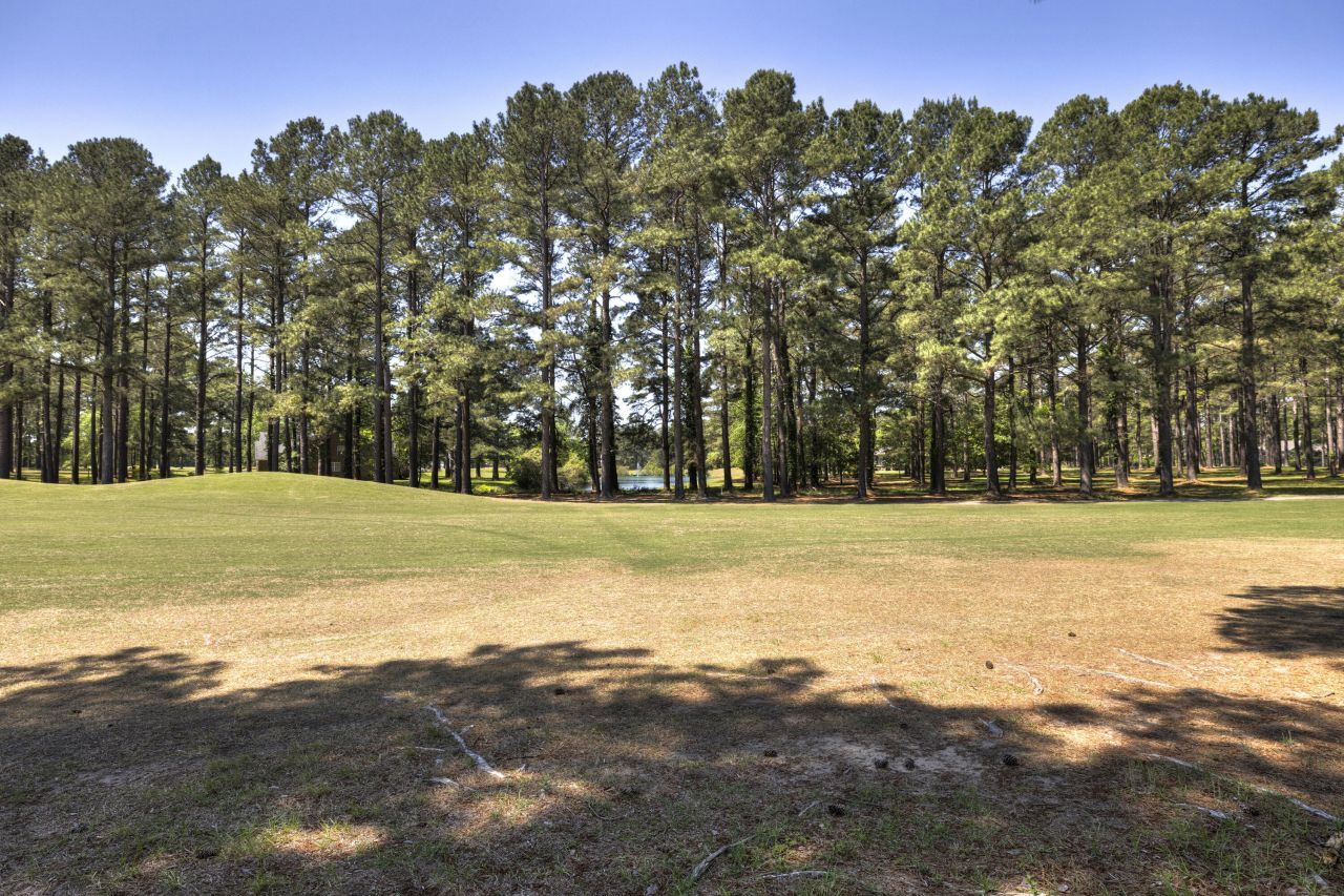 233 Plantation Drive Photo 56