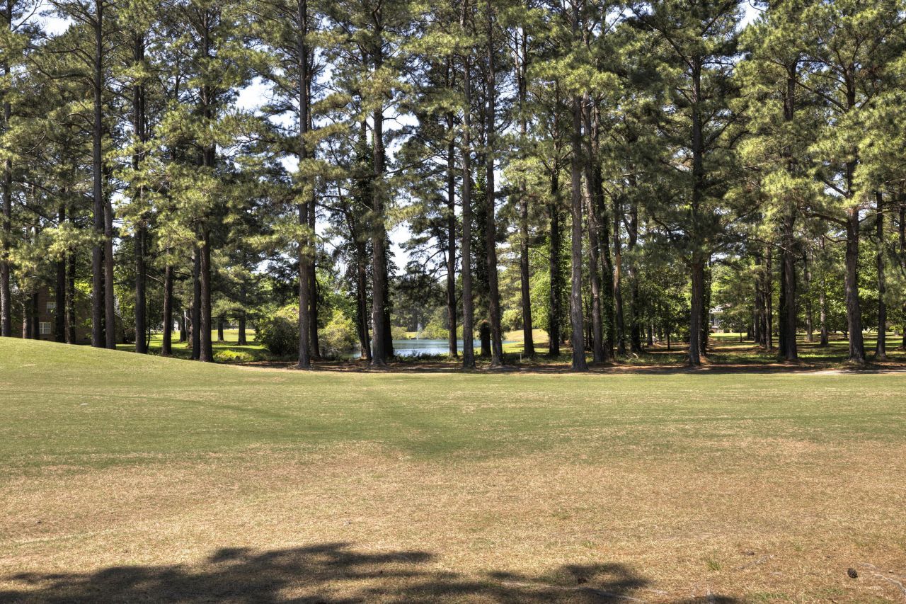 233 Plantation Drive Photo 57