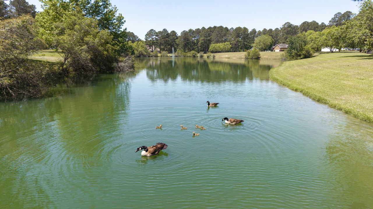 233 Plantation Drive Photo 59