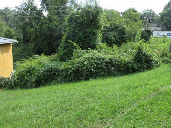 3 N Belgium Lane, Asheville, NC 28806