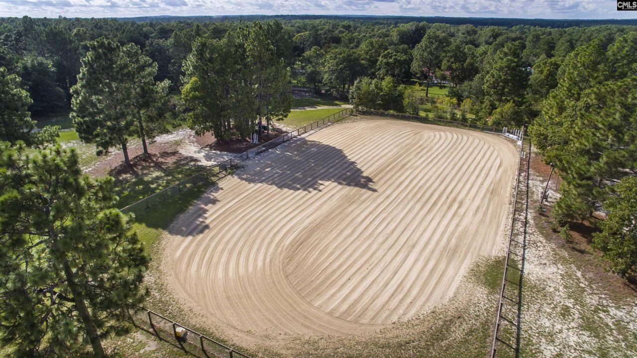 1377 Pine Road Photo 28