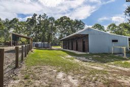 1377 Pine Road photo 4