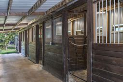 1377 Pine Road photo 4