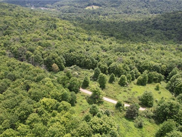 0 Held #13 Greenbush Road, Erin, NY 14838