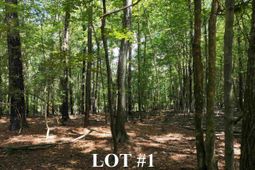 155a Torrey Pines  photo 4