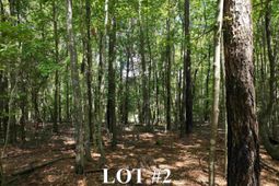 155a Torrey Pines  photo 4