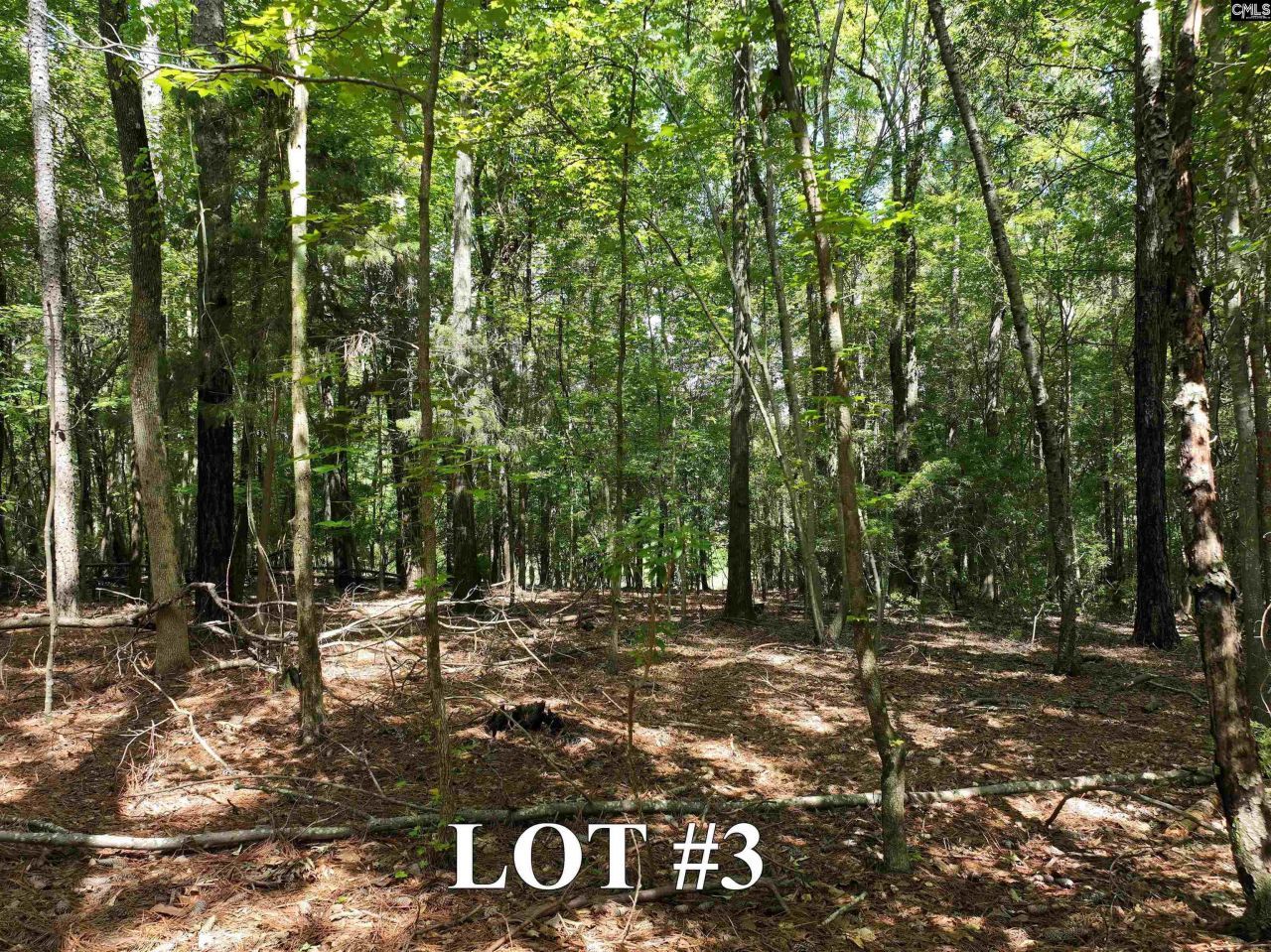 155a Torrey Pines  Photo 5