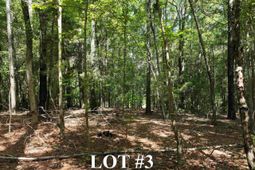 155a Torrey Pines  photo 4