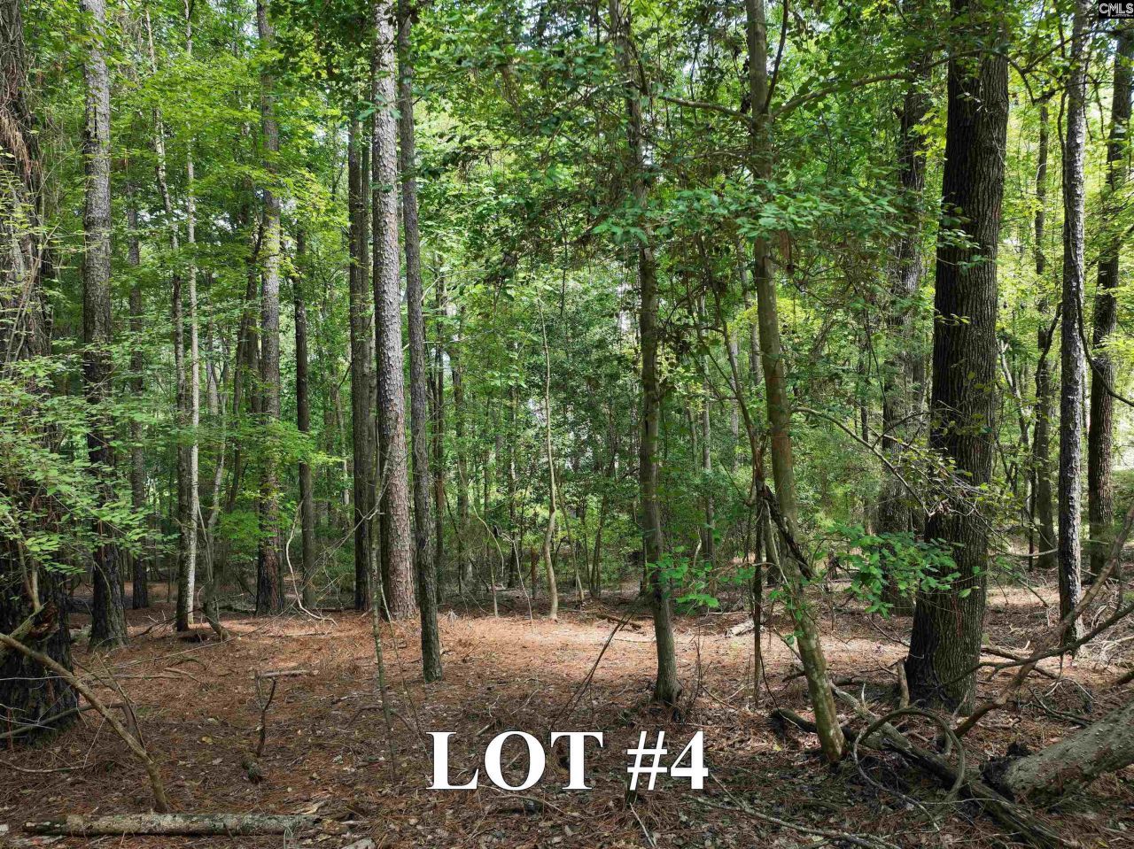 155a Torrey Pines  Photo 6