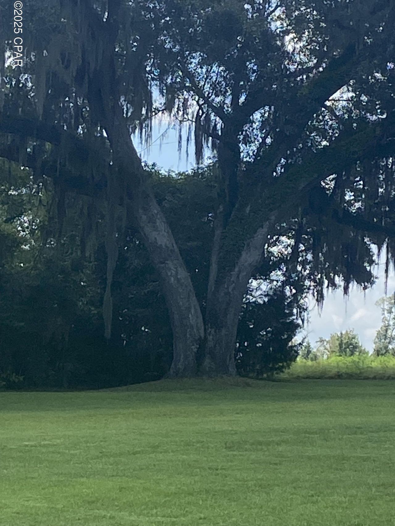 1386 Parker Road, Grand Ridge, FL 32442 Main Photo