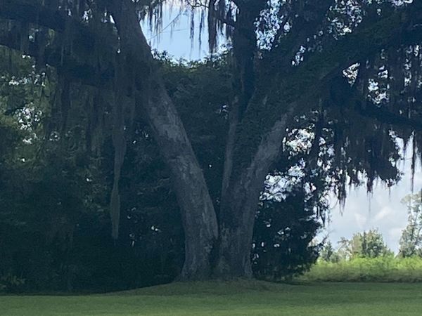 1386 Parker Road, Grand Ridge, FL 32442