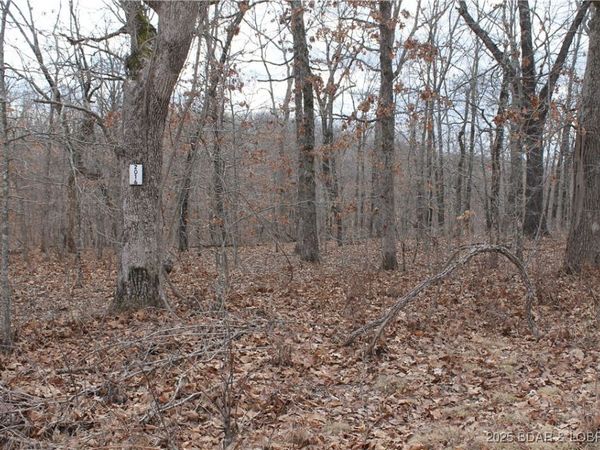 Ferro Lane, Unit 2016, Edwards, MO 65326