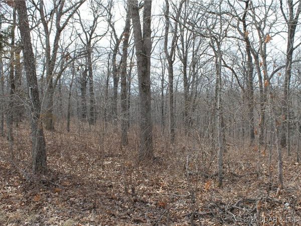 Anne Drive, Unit 1786, Edwards, MO 65326